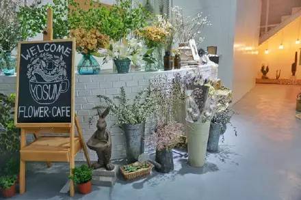 石家庄酒吧攻略,石家庄泡吧