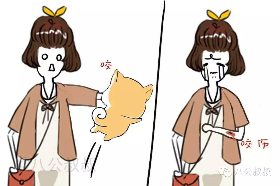 一些常识性的疾病防范错误,狗狗容易得的3种病