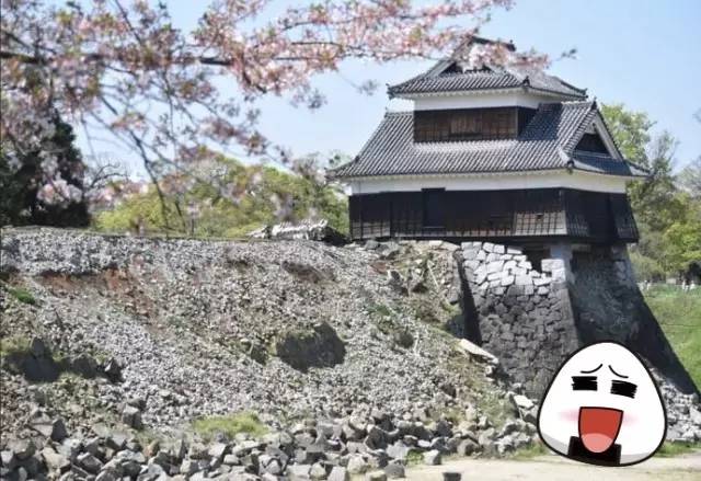 熊本县熊本熊,2019熊本熊到访城市