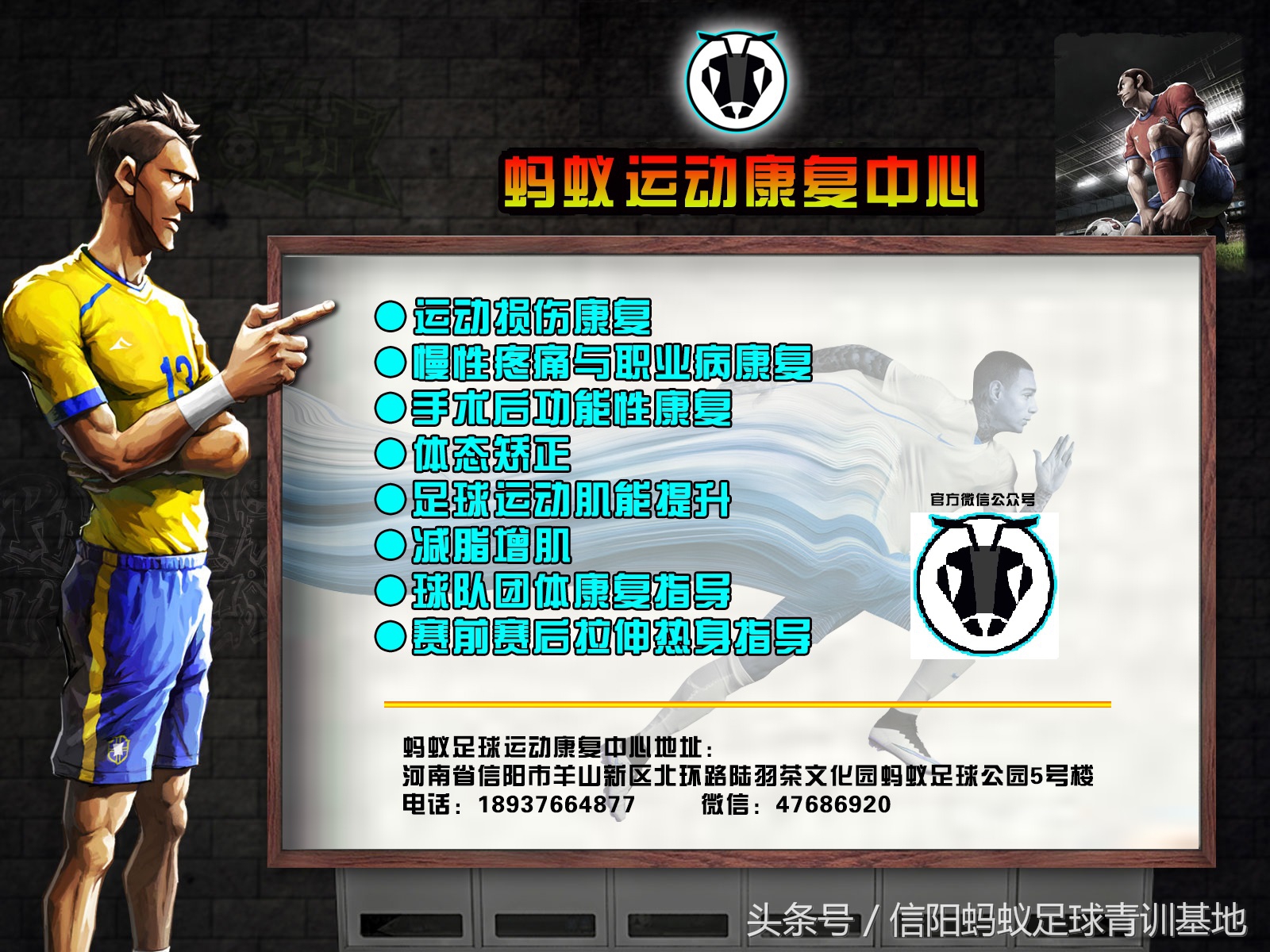信阳蚂蚁足球联赛视频,蚂蚁足球青训教学视频