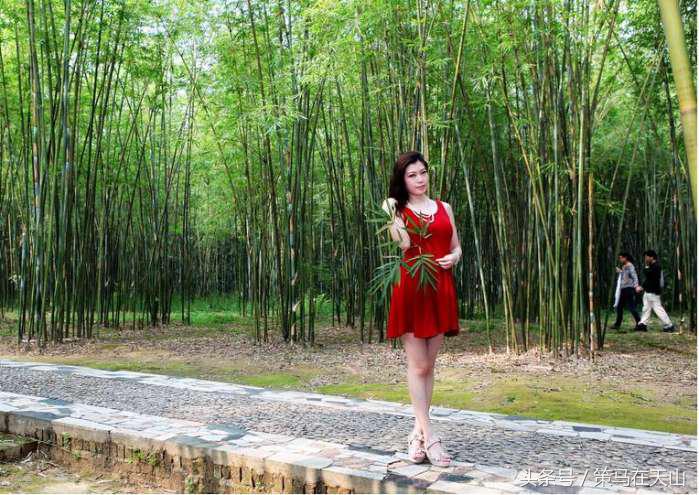 深圳周边竹海,广宁竹海中国四大竹子之乡