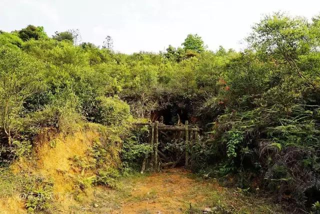 驴游记照片,驴游记全部视频