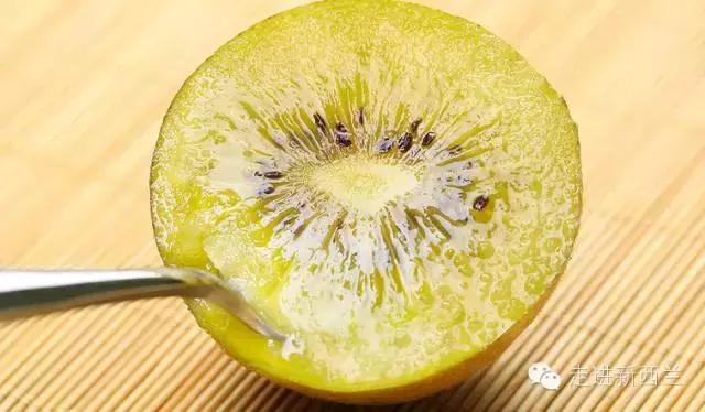 新西兰的奇异果为什么好,新西兰新鲜奇异果