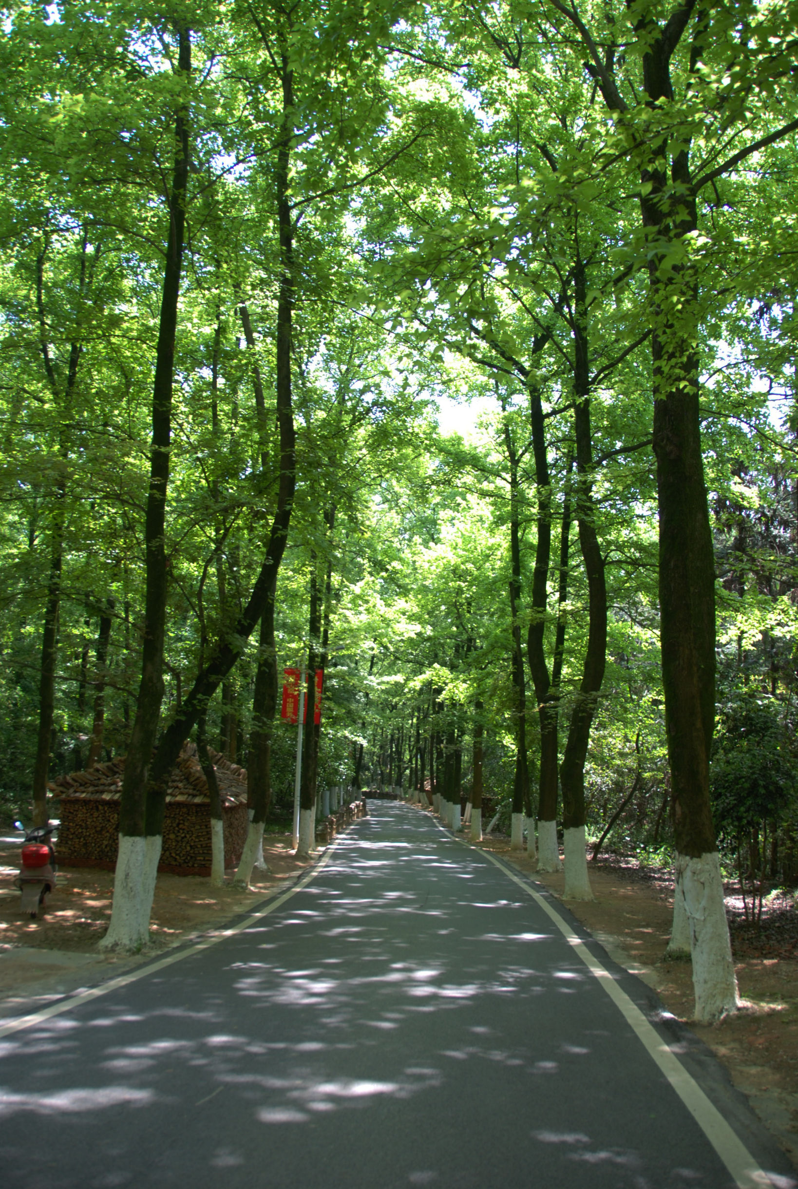 挥不去的情结,全国人眼中的景德镇