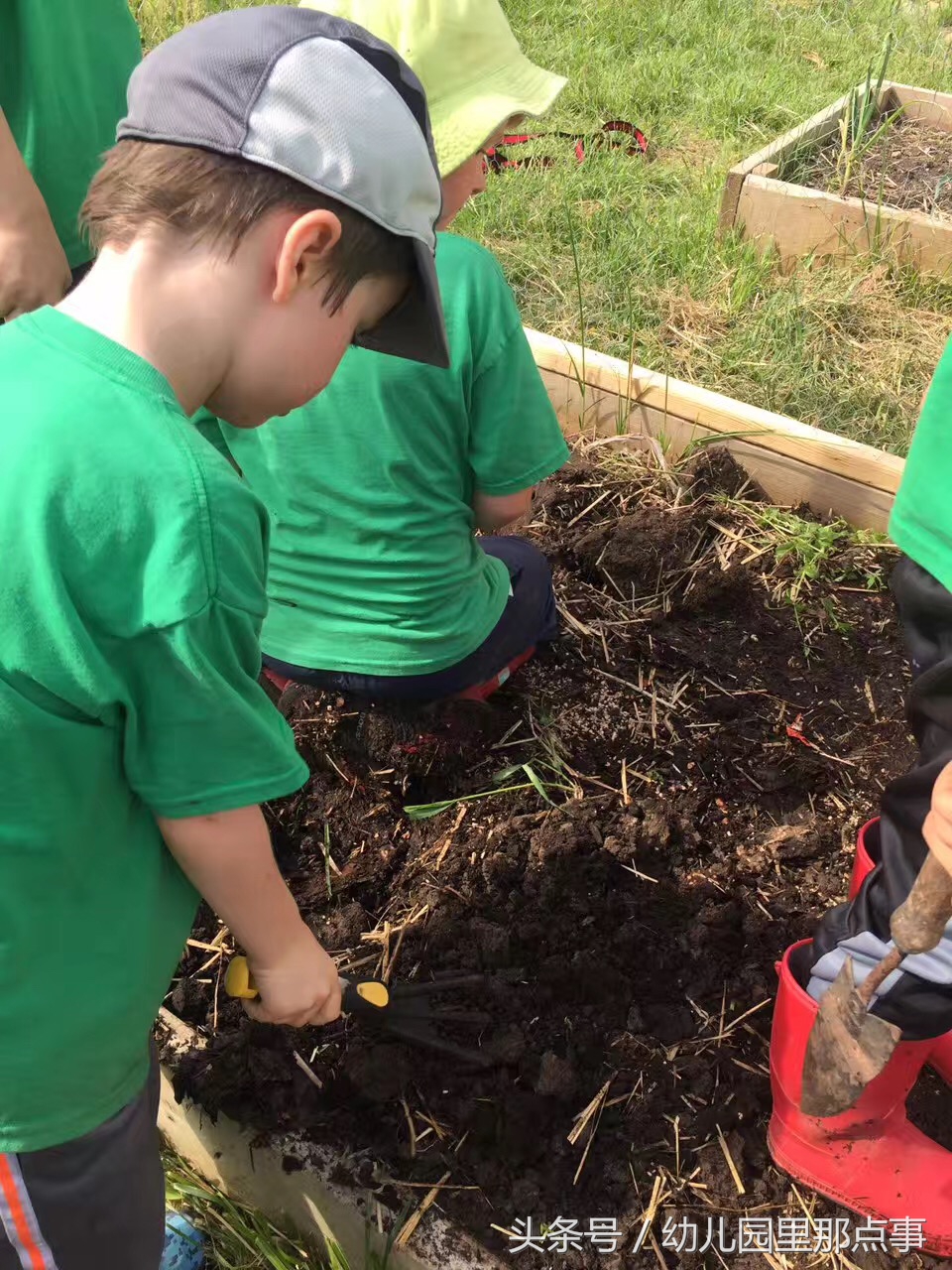 国外有名的自然生态幼儿园,国外的森林幼儿园