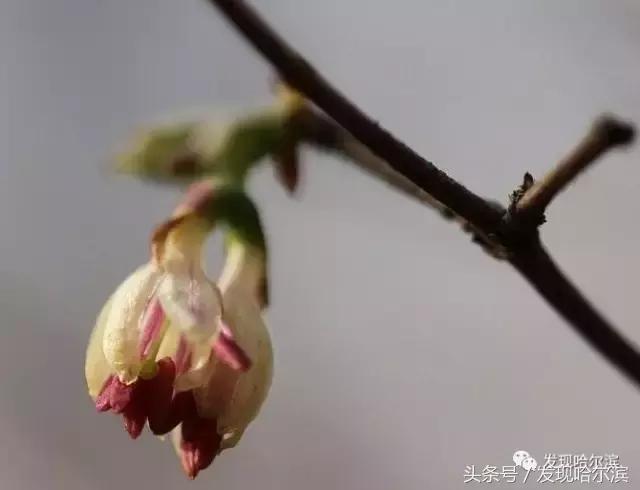 哈尔滨10条新消息,哈尔滨有什么好消息