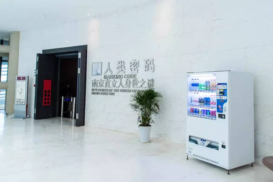 探寻人类的起源之谜,探寻人类祖先的奥秘