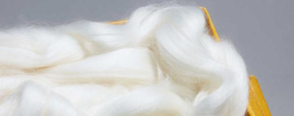 小众轻奢低调基础款品牌,夏季必备基本款