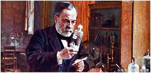 你研究过细菌的历史吗？