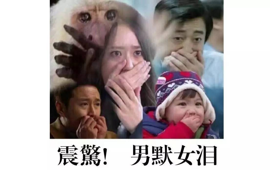 或许你也喜欢射箭？连续射击一个小时，腰不酸腿不疼！