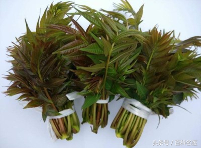 谷雨后吃什么补得快,谷雨节气吃什么补脾胃