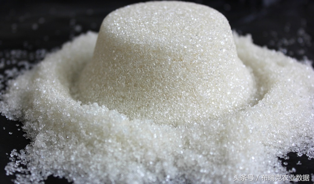 食糖关税最新政策,我国食糖进口关税是多少