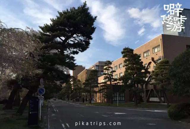 日本攻略｜森林之都，鲁迅先生笔下的日本仙台