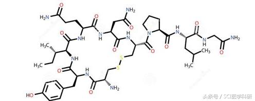 催产素与多巴胺与荷尔蒙的区别,医学科普关于激素你知道多少