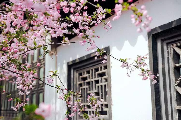 最好的十首落花诗,最美的落花诗100首