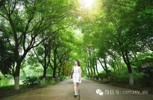 长沙民政职业学院哪个专业最好,长沙民政学院2022录取名单