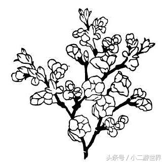 帕劳的伴手礼在哪里买,帕劳伴手礼推荐