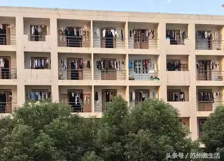 天平学院是公办的吗,苏州天平学院全国排名