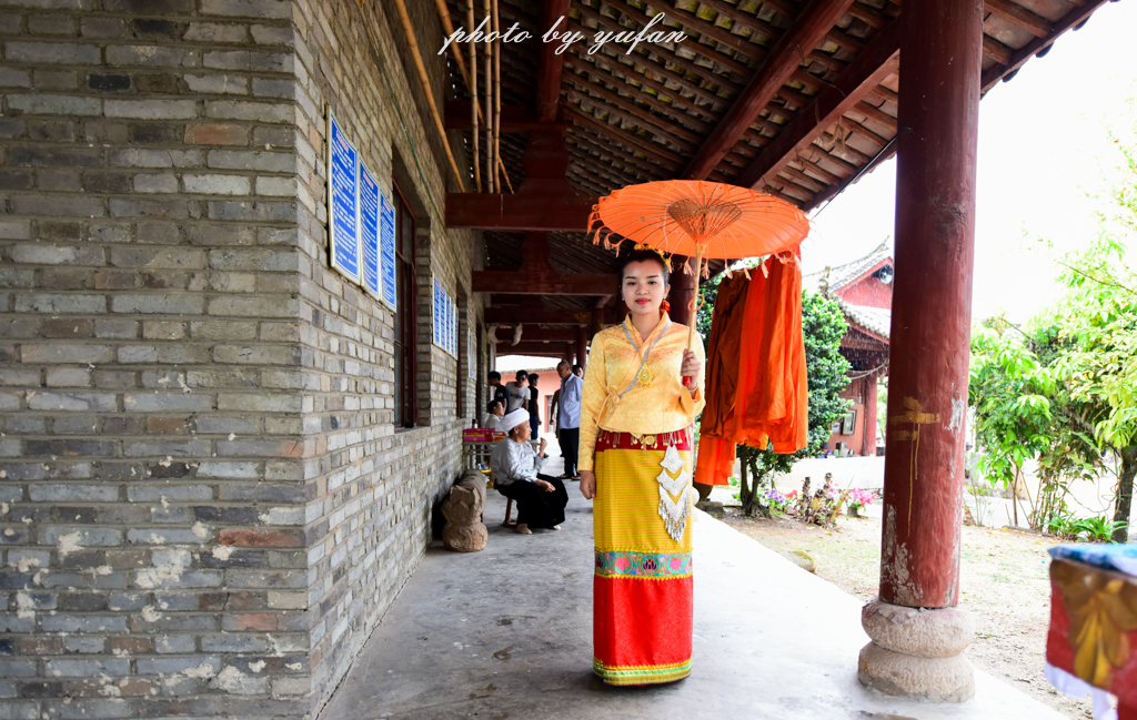 云端上的世外桃源，看看浇灌牛奶和土鸡蛋的有机乌龙茶长成啥样