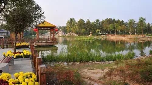 花木博览园一日游,春季游玩博览会