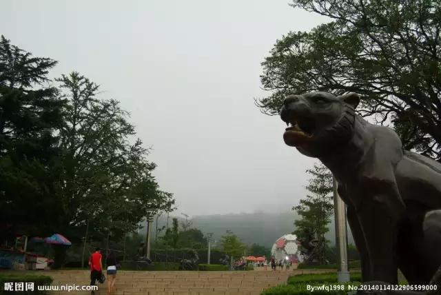 劳动公园大足球内部样子,劳动公园大足球叫什么