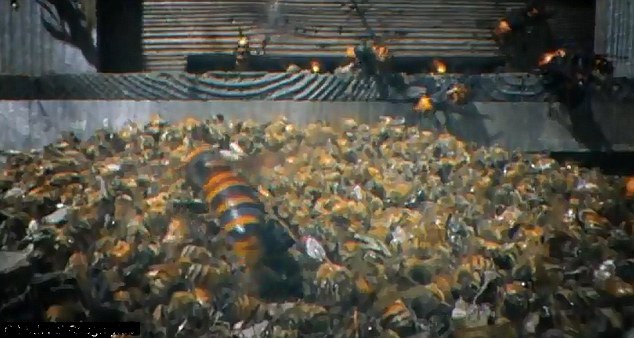 揭秘大黄蜂帝国：生殖机器、面部识别、信息控制、血腥杀戮