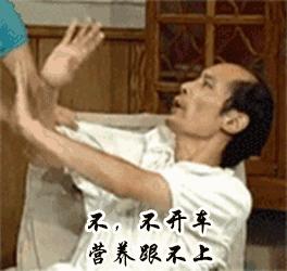 荷兰猪适宜的温度,荷兰猪夏天降温视频教学