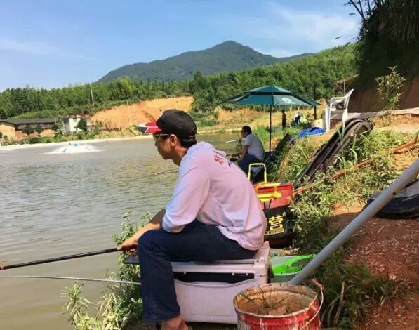 香精小药黑坑专用,揭秘黑坑小药都加了什么添加剂