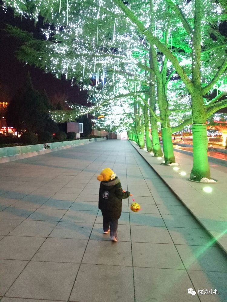 冬天大连看海旅游攻略,冬季到大连去看海