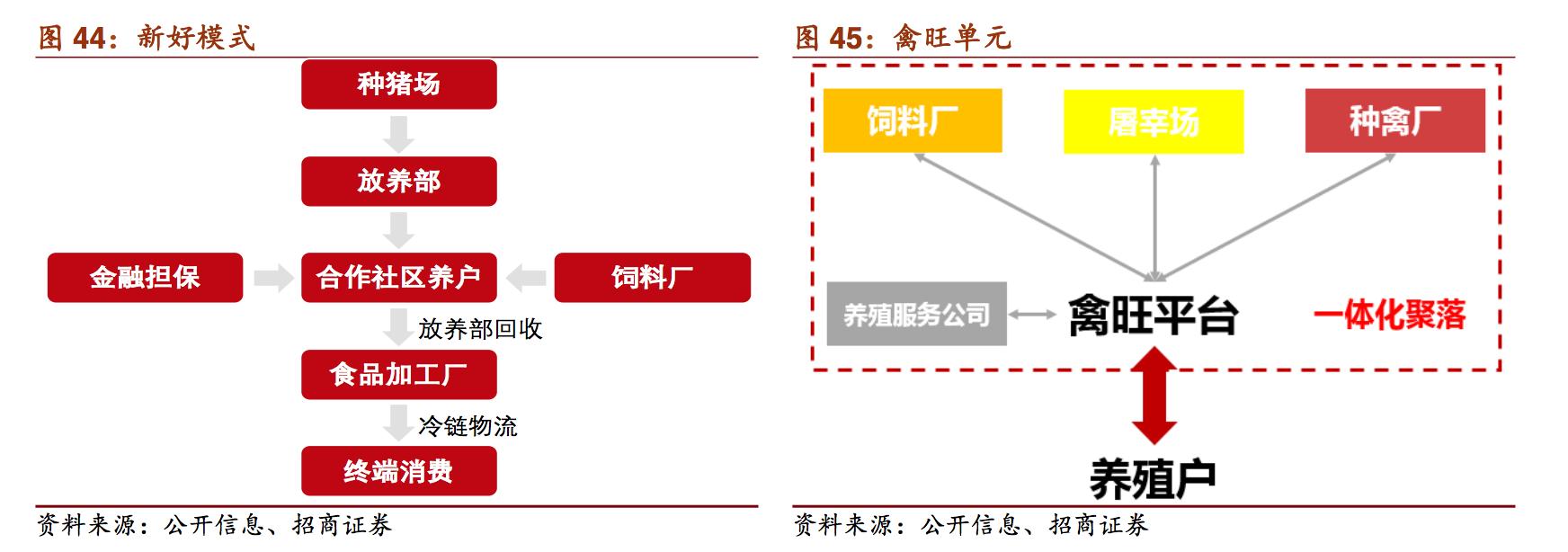 新希望饲料发展,新希望集团案例分析