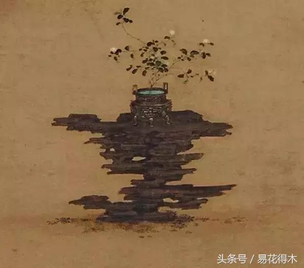 陶瓷花盆适合种什么花,仿瓷的花盆养花好吗