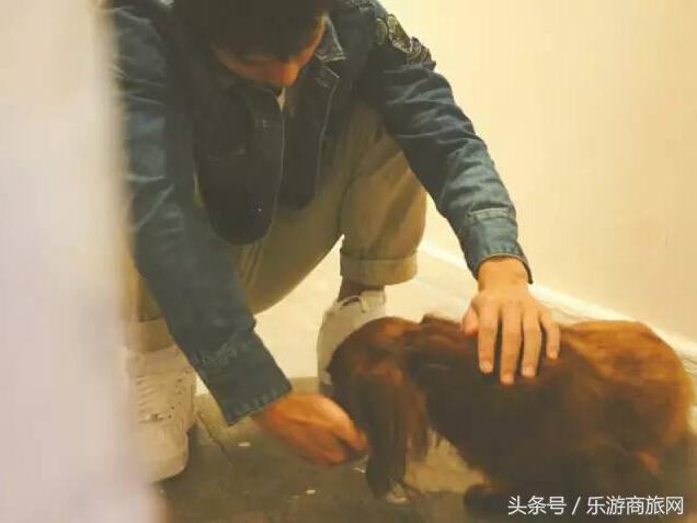 香港旅行攻略自由行购物,香港旅行攻略必去的地方推荐