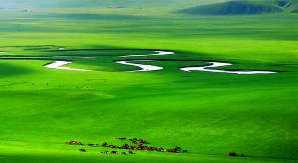 *藏西**美丽的草原上它原先被炒到上千万，现在5千也没人要