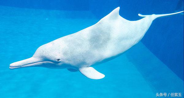 长隆海洋王国亲子游路线,一天游珠海长隆海洋王国亲子攻略