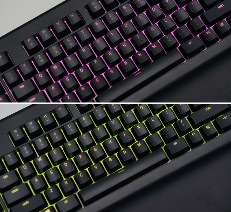 黑寡妇蜘蛛2019和幻彩版,黑寡妇蜘蛛幻彩版测评