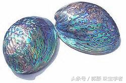 鲍鱼除了吃还代表什么,鲍鱼除了是食物还是什么东西