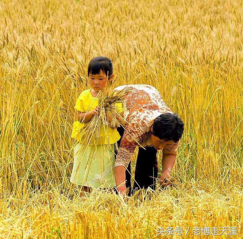 梁平2017放暑假时间锁定~我们曾有的每学期8天农忙假那去了