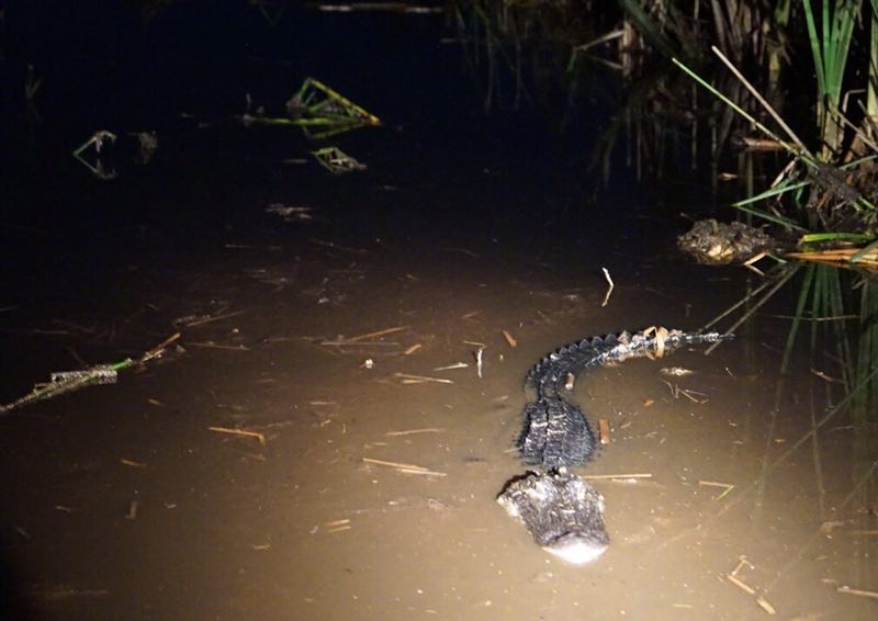 佛罗里达七日游攻略,佛罗里达5天旅游