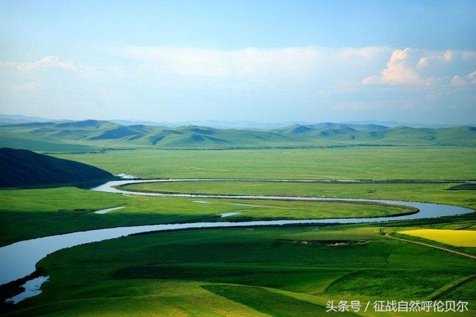 骑上草原的骏马跑一圈,骑上马马一直跟着马群怎么办