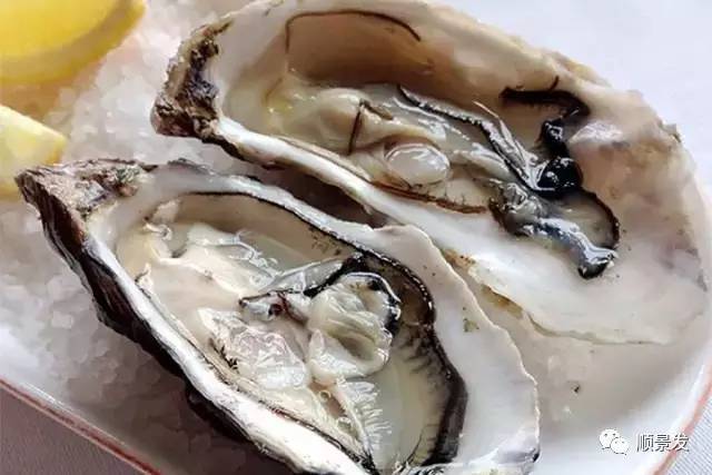 贝类海鲜的品种及图片大全,常见的贝类海鲜图片大全及名称