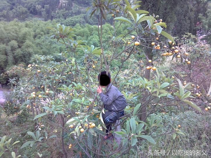 80后的我们重拾旧时光图片,80后怀念时光的图片