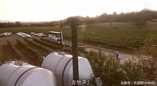 葡萄酒大师品鉴红酒,葡萄酒大师酿酒视频