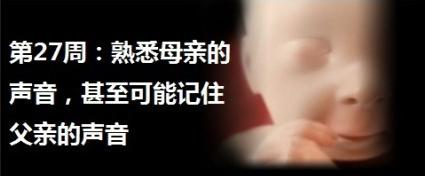燕窝的正确炖法和吃法孕妇怎么吃 (怀孕期间孕妇什么时候吃燕窝最好)