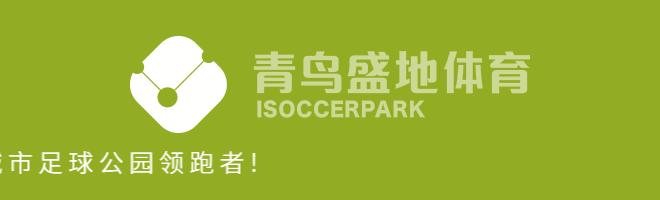 高洪波执教北控冲超成功了吗,高洪波出任国足主帅的可行性