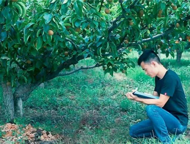 他辞去500强企业的工作，毅然决然开荒种梨，最后怎么样了