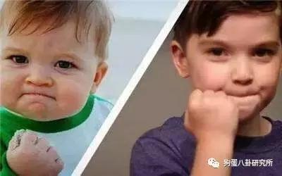 井柏然粉丝,井柏然和粉丝