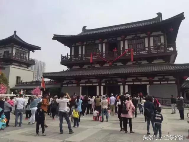 洛阳旅发集团不忘初心以活动促产业，持续助力牡丹文化节不断升温