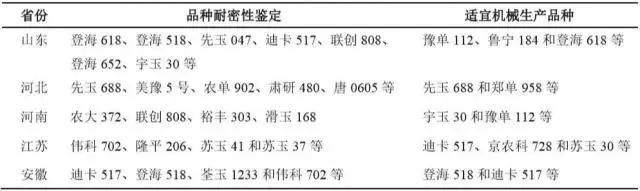 京科968玉米品种介绍,隆禧119玉米品种介绍