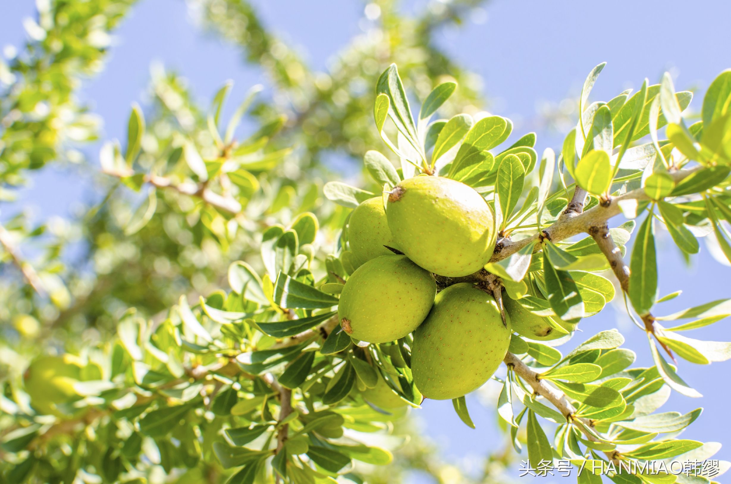 夏季卸妆卸得最干净的产品,卸妆水推荐纯植物温和不刺激