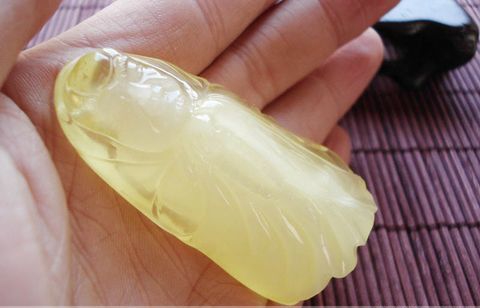 丹麦琥珀和俄罗斯琥珀,世界上的第一块被发现的琥珀